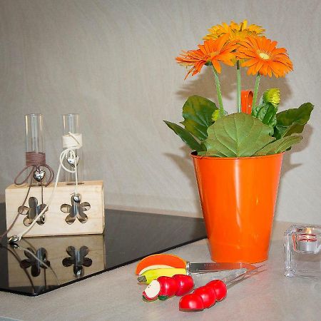 En Attique - Residence Le Ronsard Selestat Ngoại thất bức ảnh