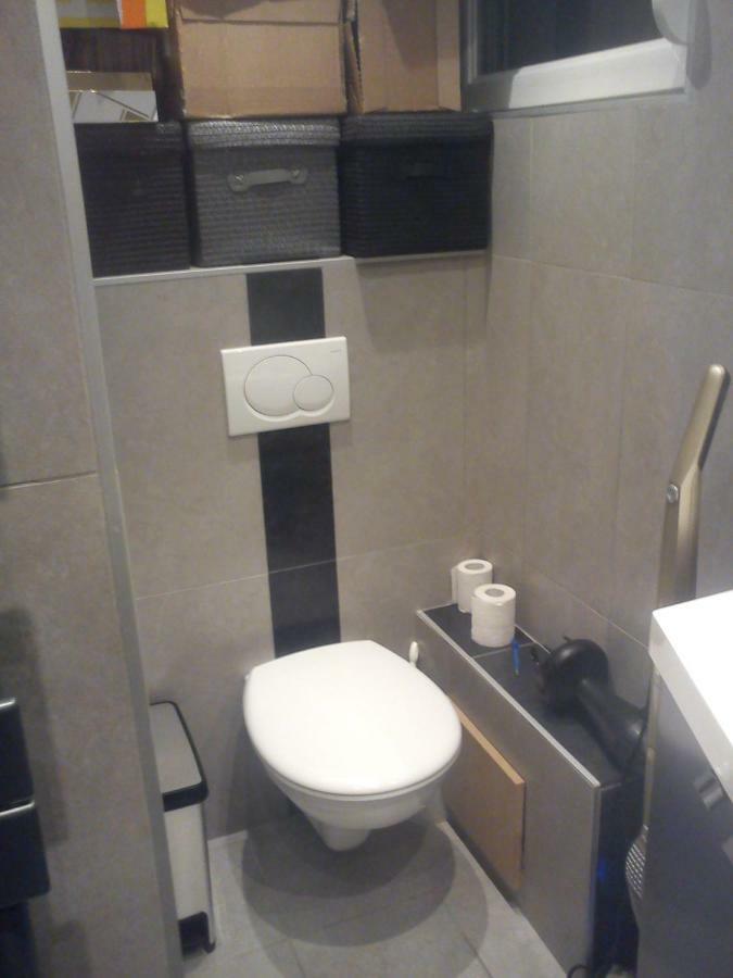 En Attique - Residence Le Ronsard Selestat Ngoại thất bức ảnh